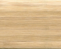 Bamboo Beech