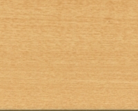 Maple