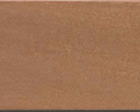 Pecan
